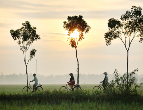 VIETNAM POPOLI E TRADIZIONI14 notti