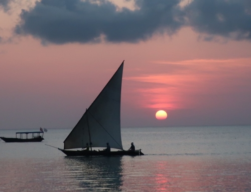 Botswana Adventure & Zanzibar