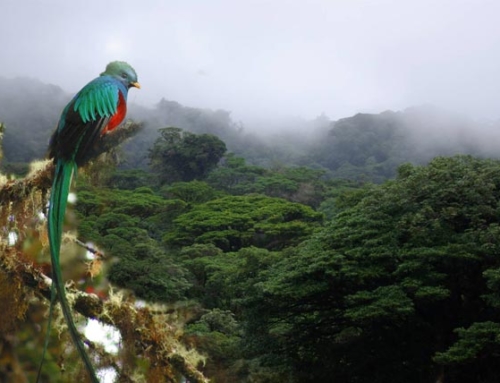 Tour Avventura Totale in Costa Rica 2019