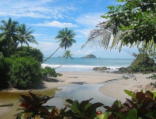 FORESTA PLUVIALE E MARE E NATURA A MANUEL ANTONIO CON AUTO A NOLEGGIO 2020