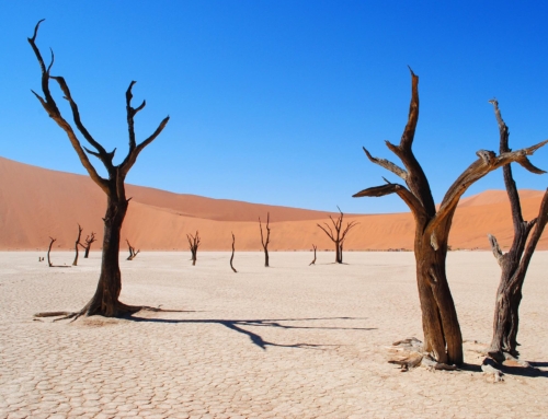 NAMIBIA – SPECIALE CAPODANNO