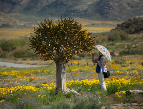 GLAM NAMAQUALAND