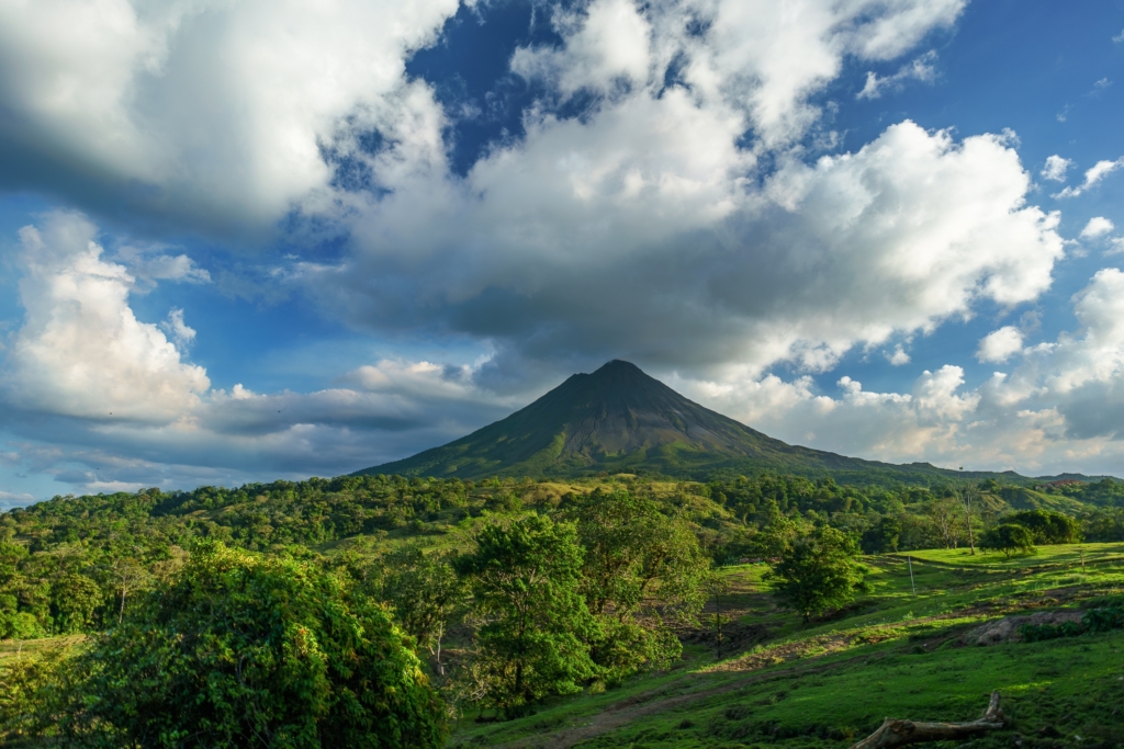 GARANTITO DAL 6 AL 18 AGOSTO :
TORTUGUERO, ARENAL, BOCA DE TORO, PANAMA CITY
TOUR IN CONDIVISIONE CON GUIDA PARLANTE INGLESE / SPAGNOLO